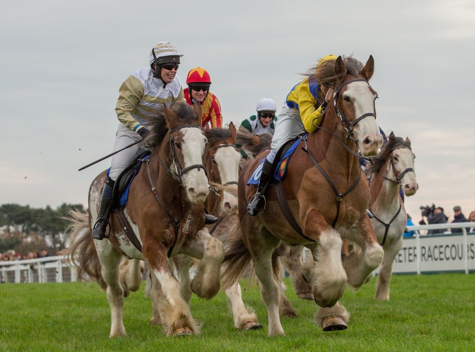 Clydesdale Horses